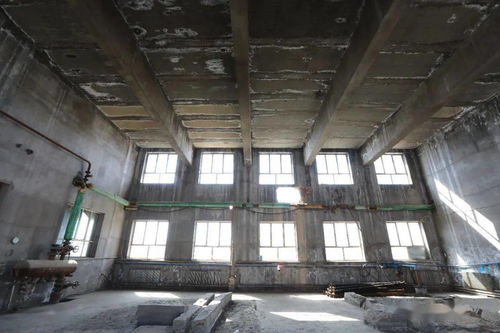 磴口原旭日苁蓉酒业及原源农农副产品购销公司厂房及土地使用权整体拍卖